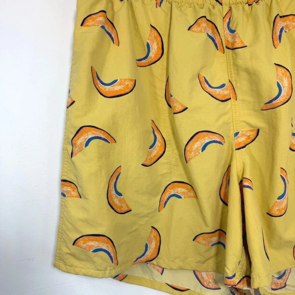 Patagonia baggies shorts